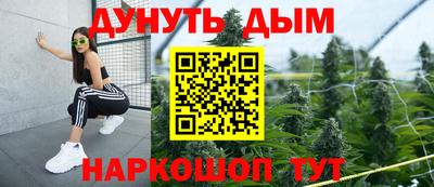 Альфа ПВП Дубна