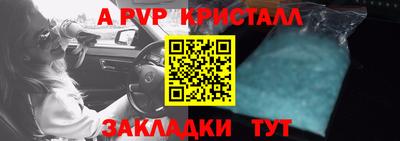 дживик Донской