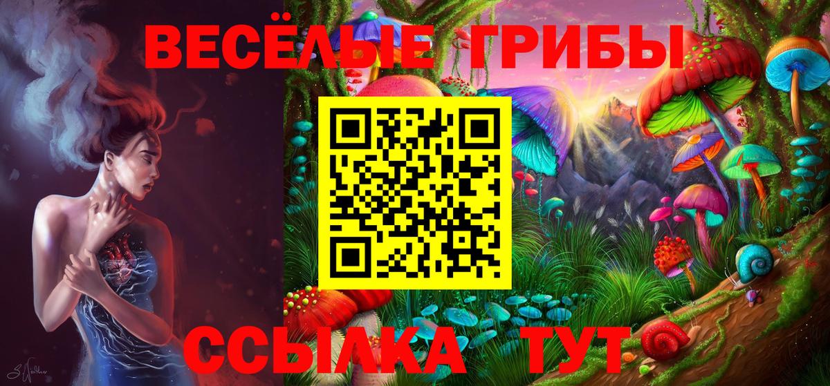 Псилоцибиновые грибы Psilocybe  Вход с VPN  цены наркотик  Минеральные Воды 