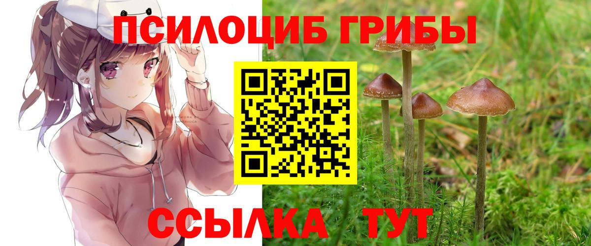 Псилоцибиновые грибы Psilocybe Минеральные Воды
